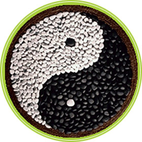 alimentazione orientale dietetica cinese